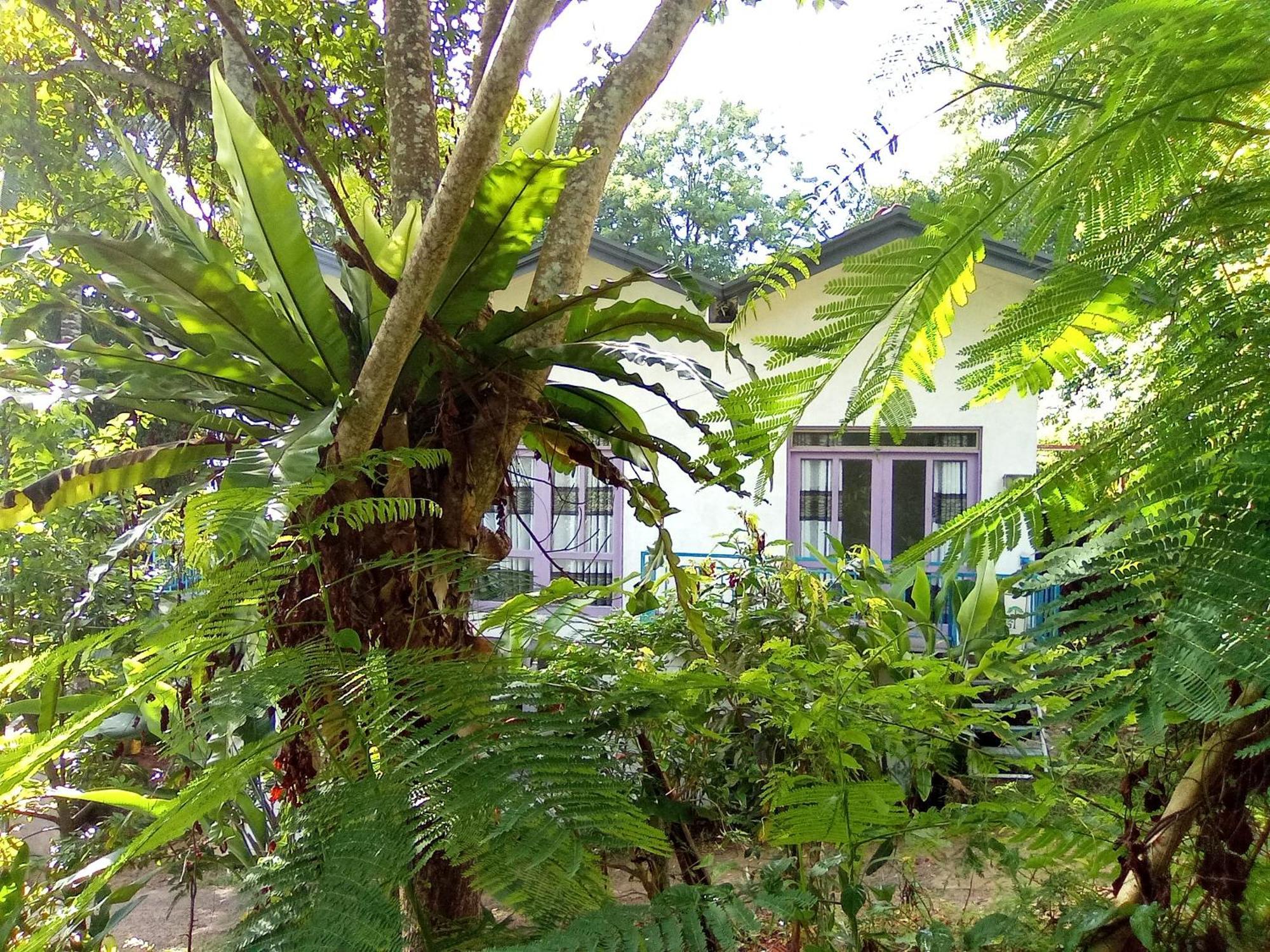 מלון אונה ואטונה House 73 מראה חיצוני תמונה